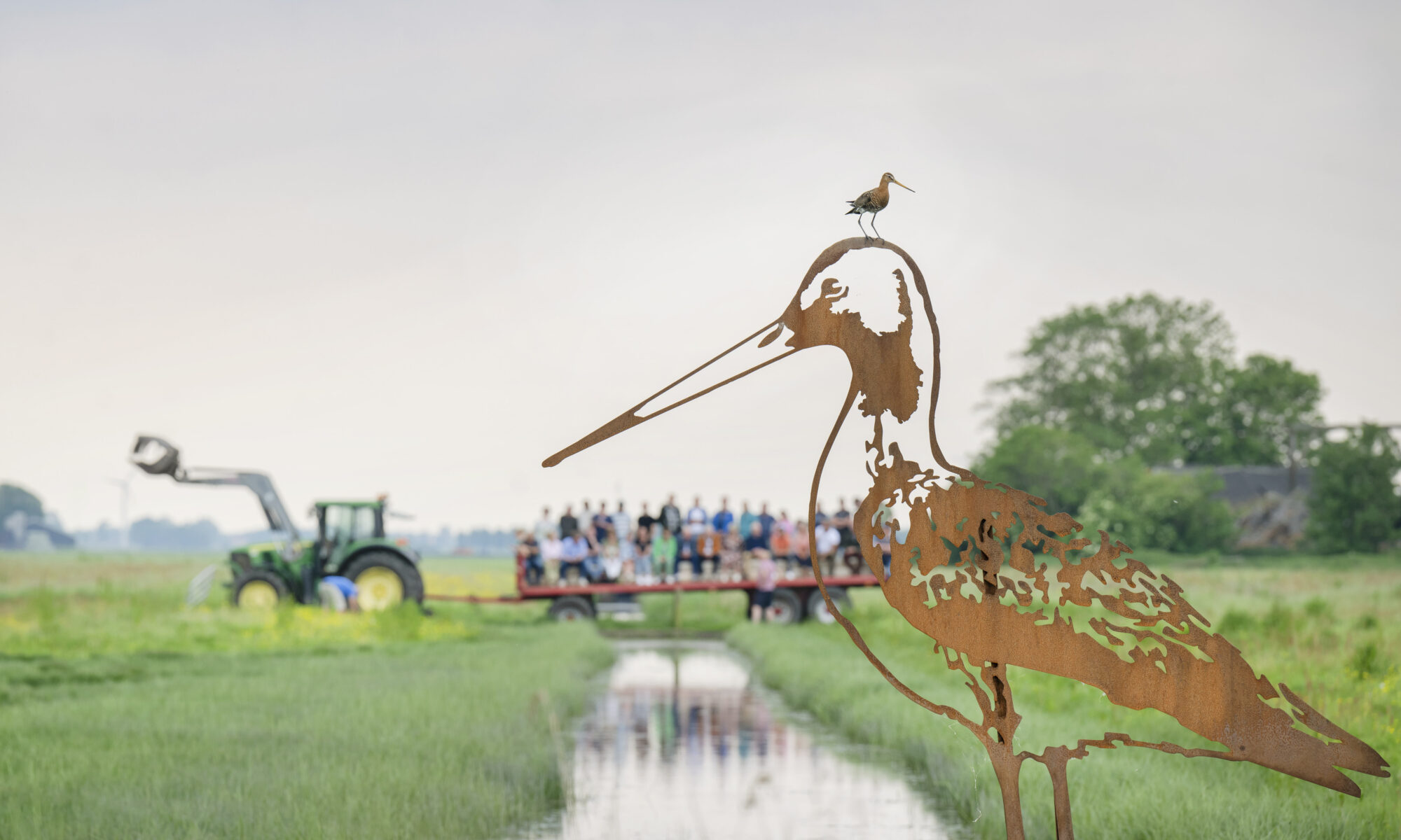 Foto: Marcel van Kammen